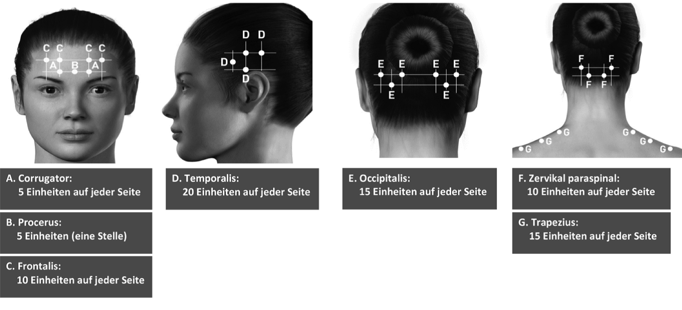 Grafik 29