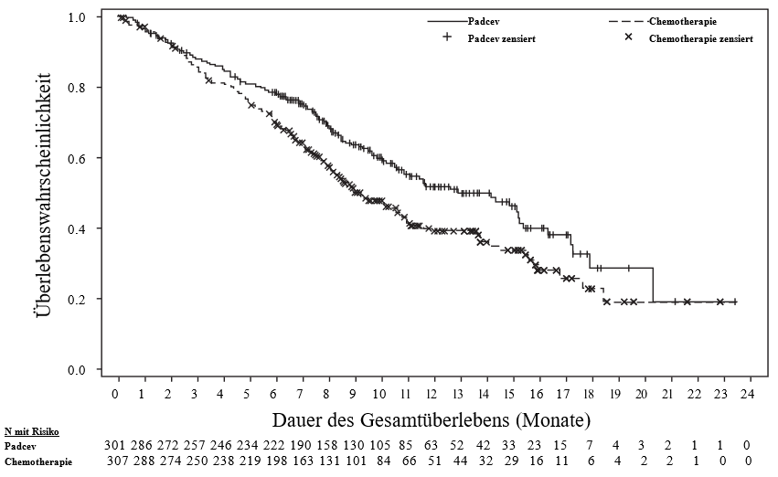 Grafik 1
